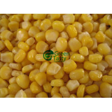 IQF Frozen Sweet Corn Vegetables